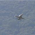 img_8045