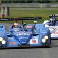 lmes-161