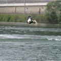 wake04-031