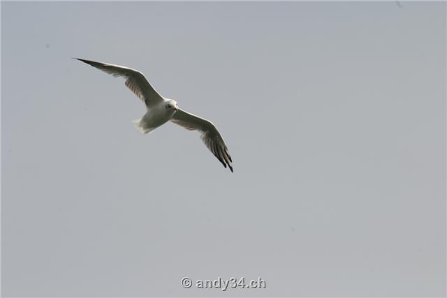 wake05-005
